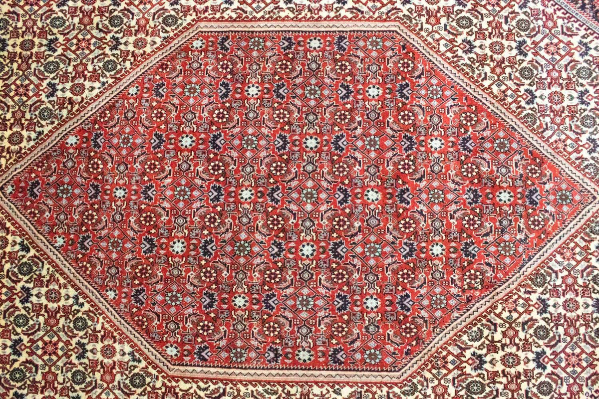 Alfombra persa - Bidjar - 302 x 203 cm - rojo