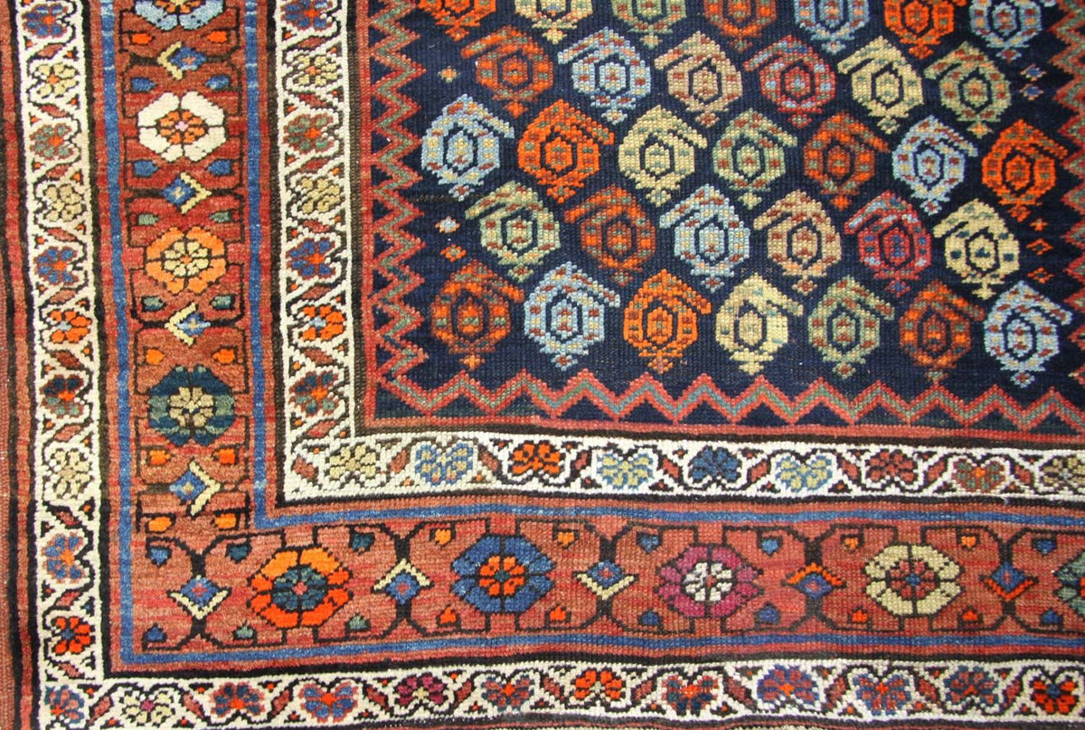 Alfombra de pasillo Alfombra Ziegler - Shirvan - 440 x 113 cm - marrón