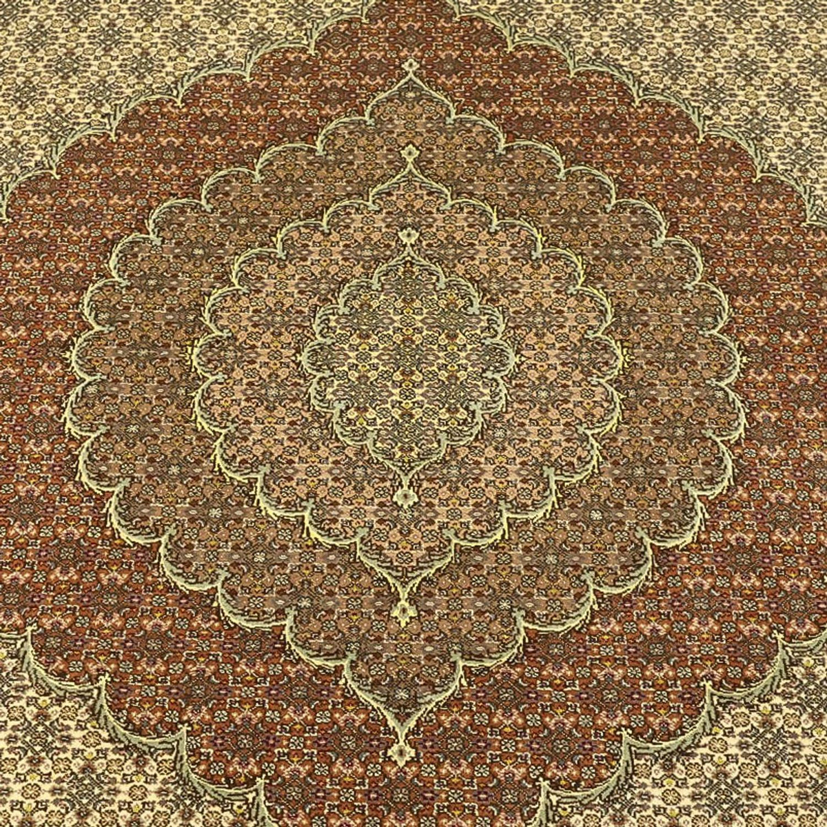 Alfombra Persa - Tabriz - Real - Real - 351 x 250 cm - beige oscuro