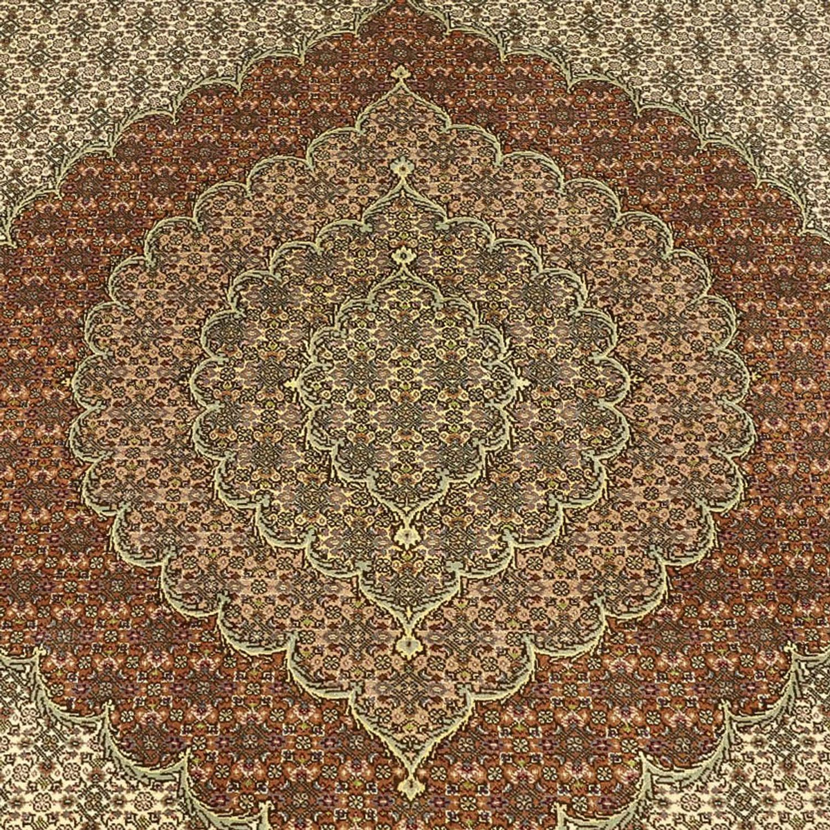 Alfombra Persa - Tabriz - Real - Real - 336 x 252 cm - taupe