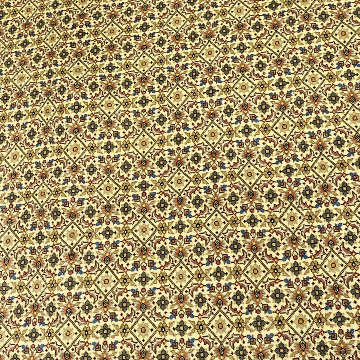 Alfombra Persa - Tabriz - Real - Real - 289 x 200 cm - beige oscuro