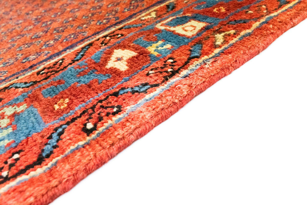 Alfombra de pasillo Alfombra persa - Nómada - 317 x 110 cm - marrón