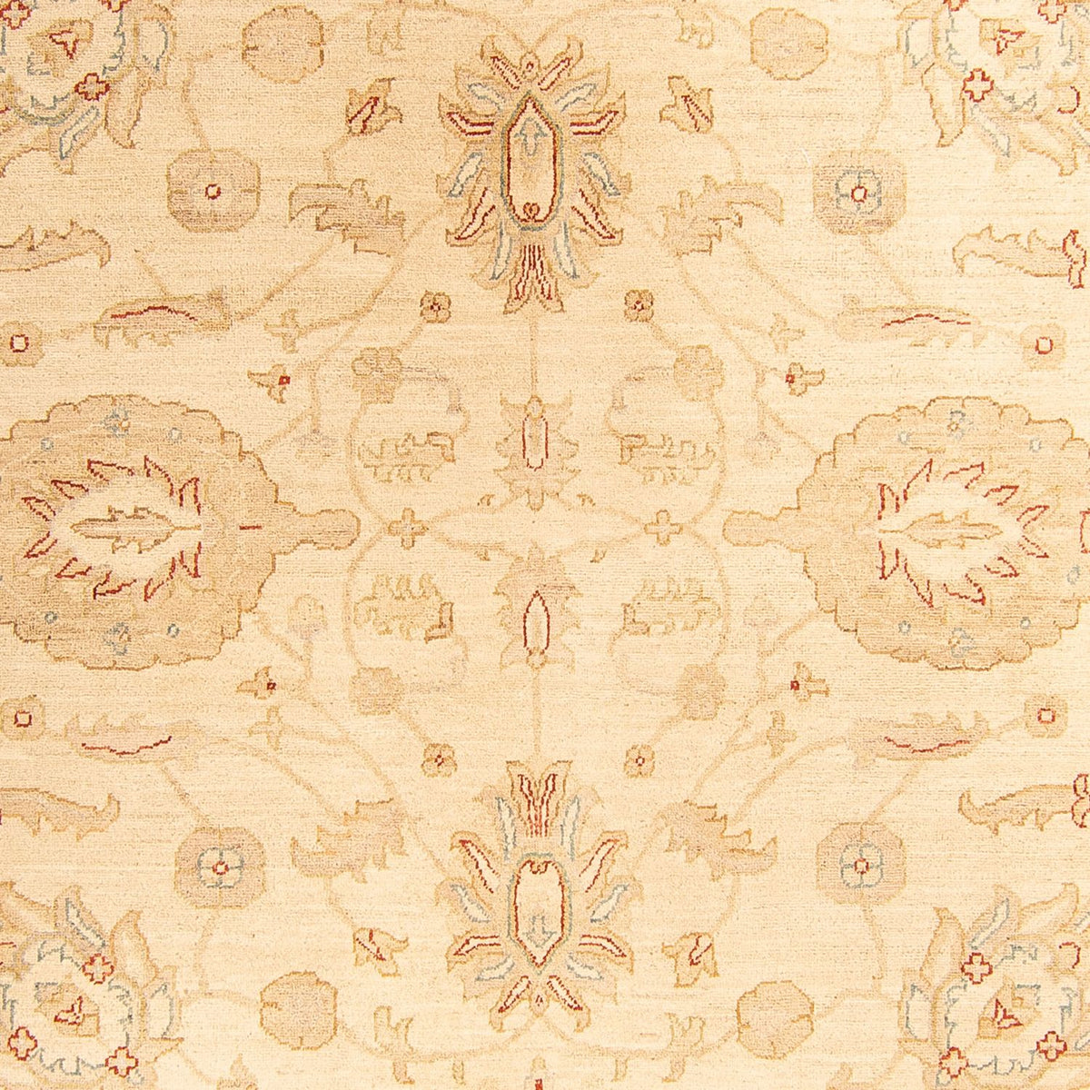 Alfombra Ziegler - 307 x 212 cm - beige