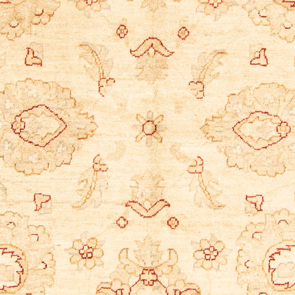 Alfombra Ziegler - 207 x 156 cm - beige