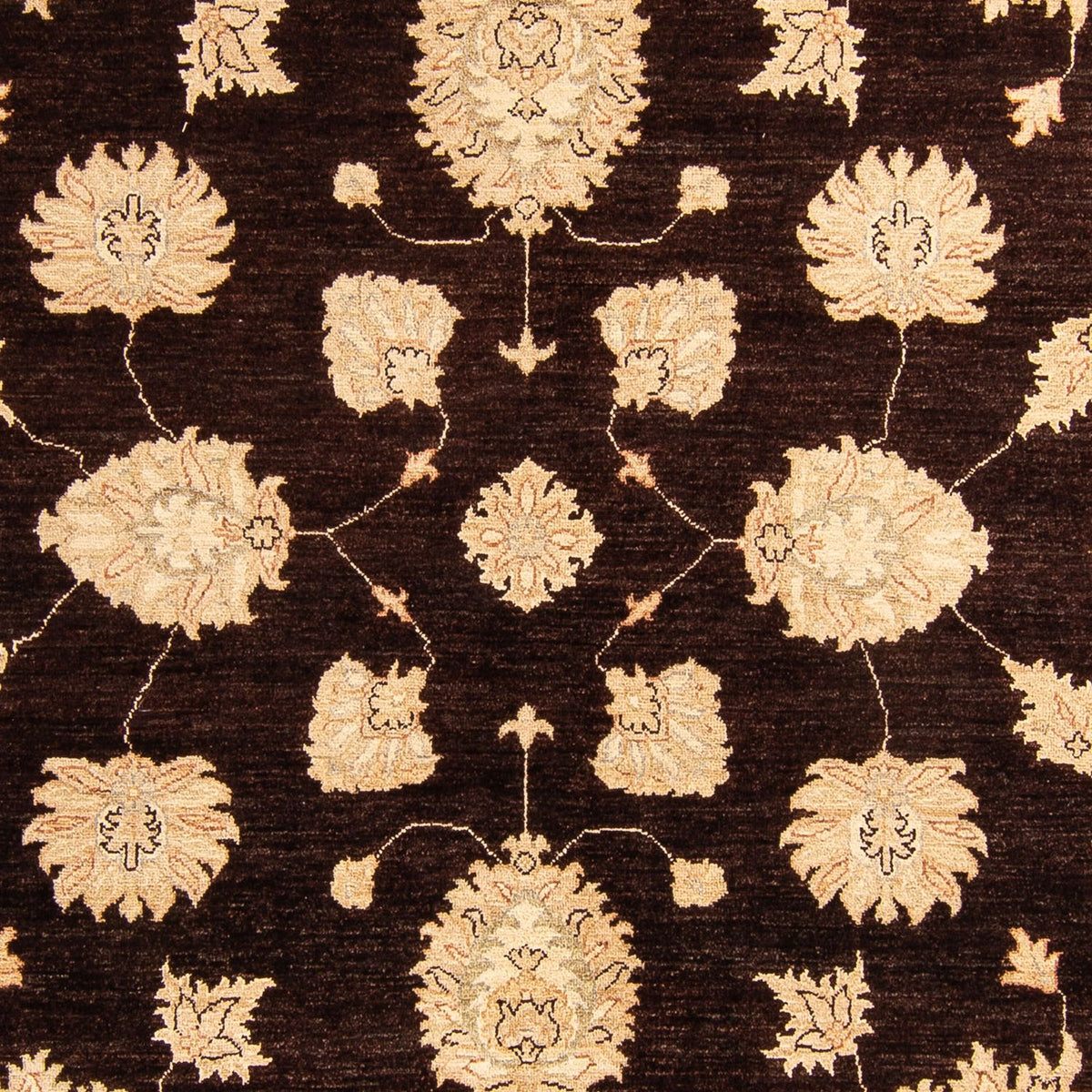 Alfombra Ziegler - 288 x 207 cm - marrón oscuro