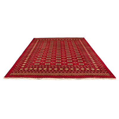 Alfombra Pakistani 248x320cm - Alfombra oriental