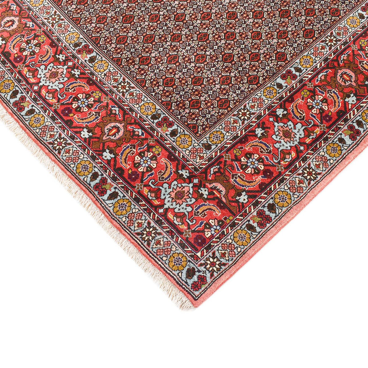 Alfombra persa - Clásica - 346 x 250 cm - marrón