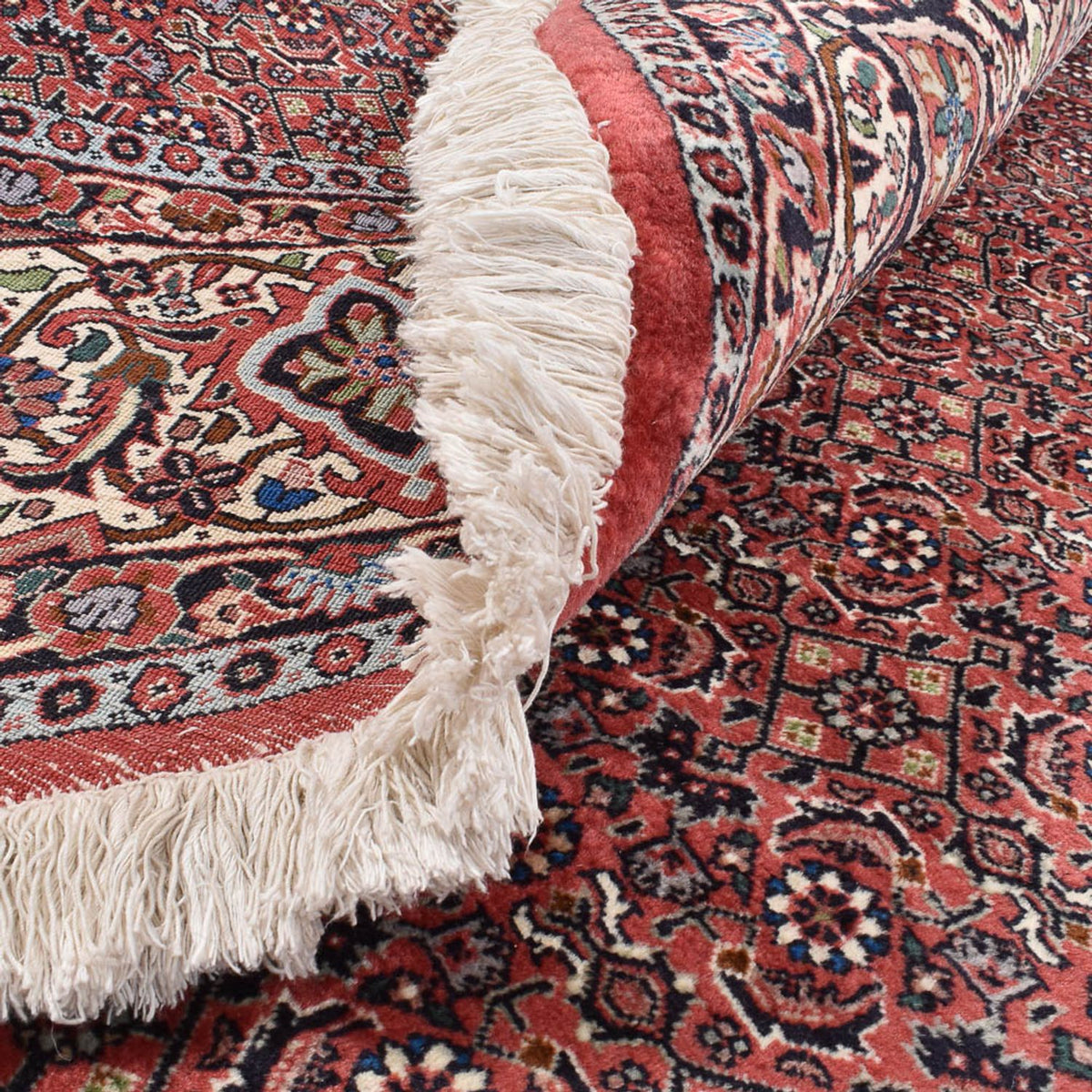 Alfombra persa - Bidjar redondo  - 300 x 300 cm - rojo burdeos