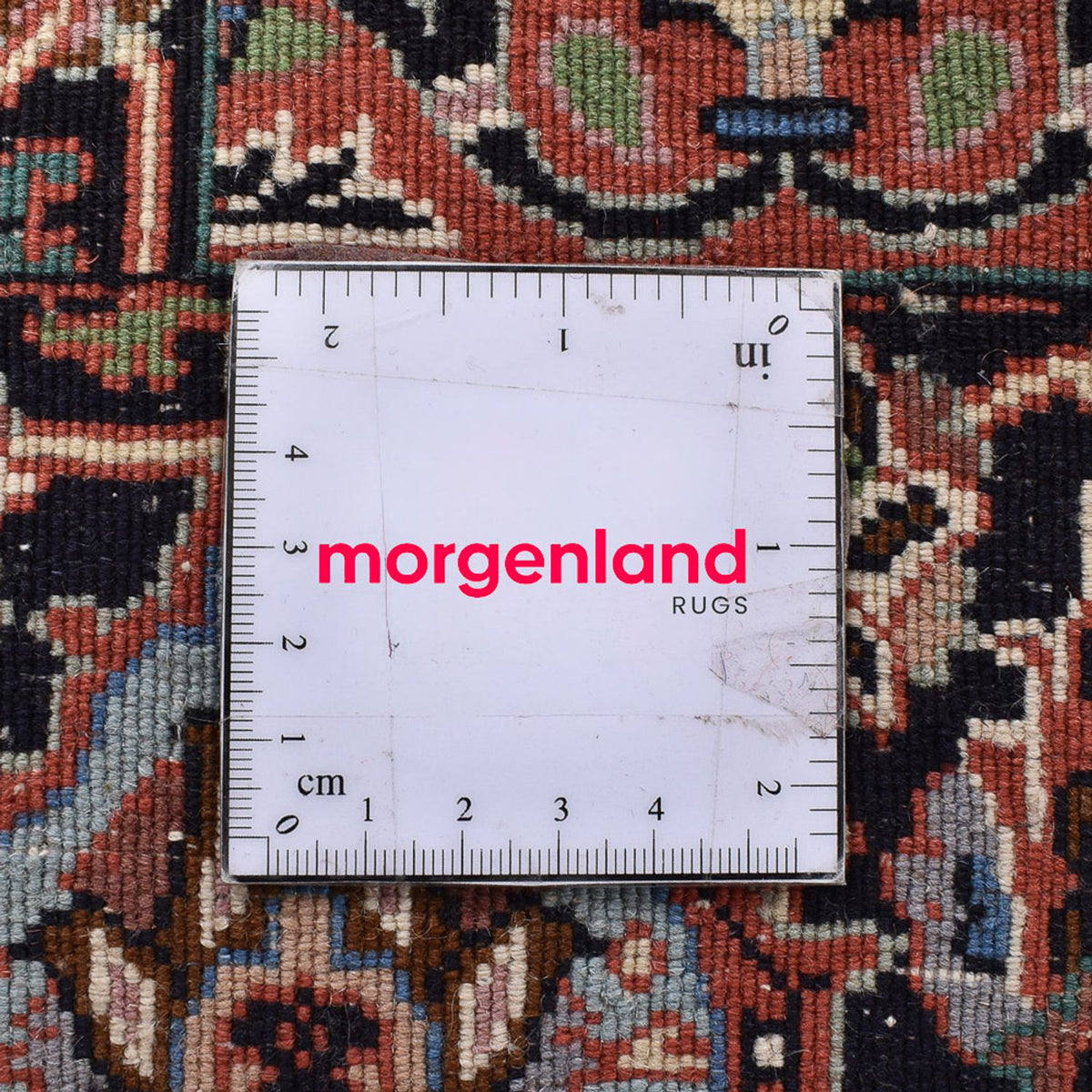 Alfombra persa - Bidjar - 243 x 210 cm - marrón claro