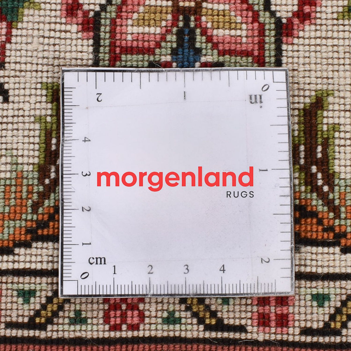 Alfombra de pasillo Alfombra Persa - Tabriz - Prima - 255 x 70 cm - arena