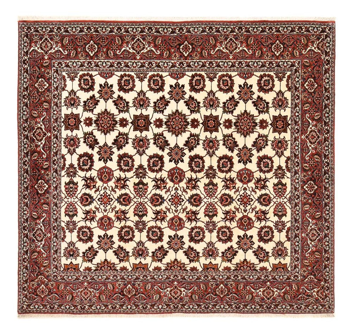 Alfombra persa - Bidjar cuadrado  - 255 x 241 cm - óxido