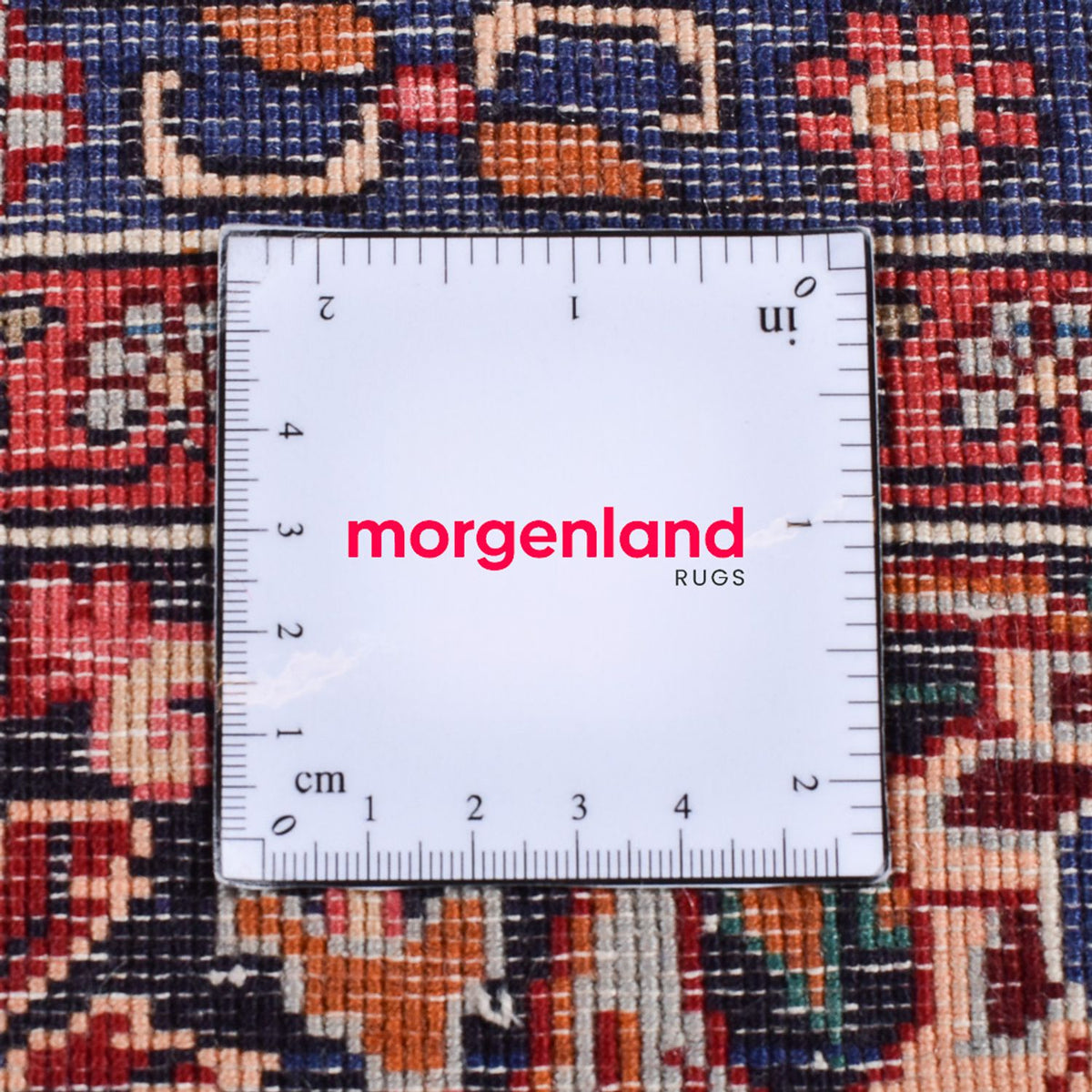 Alfombra persa - Bidjar - 300 x 217 cm - beige