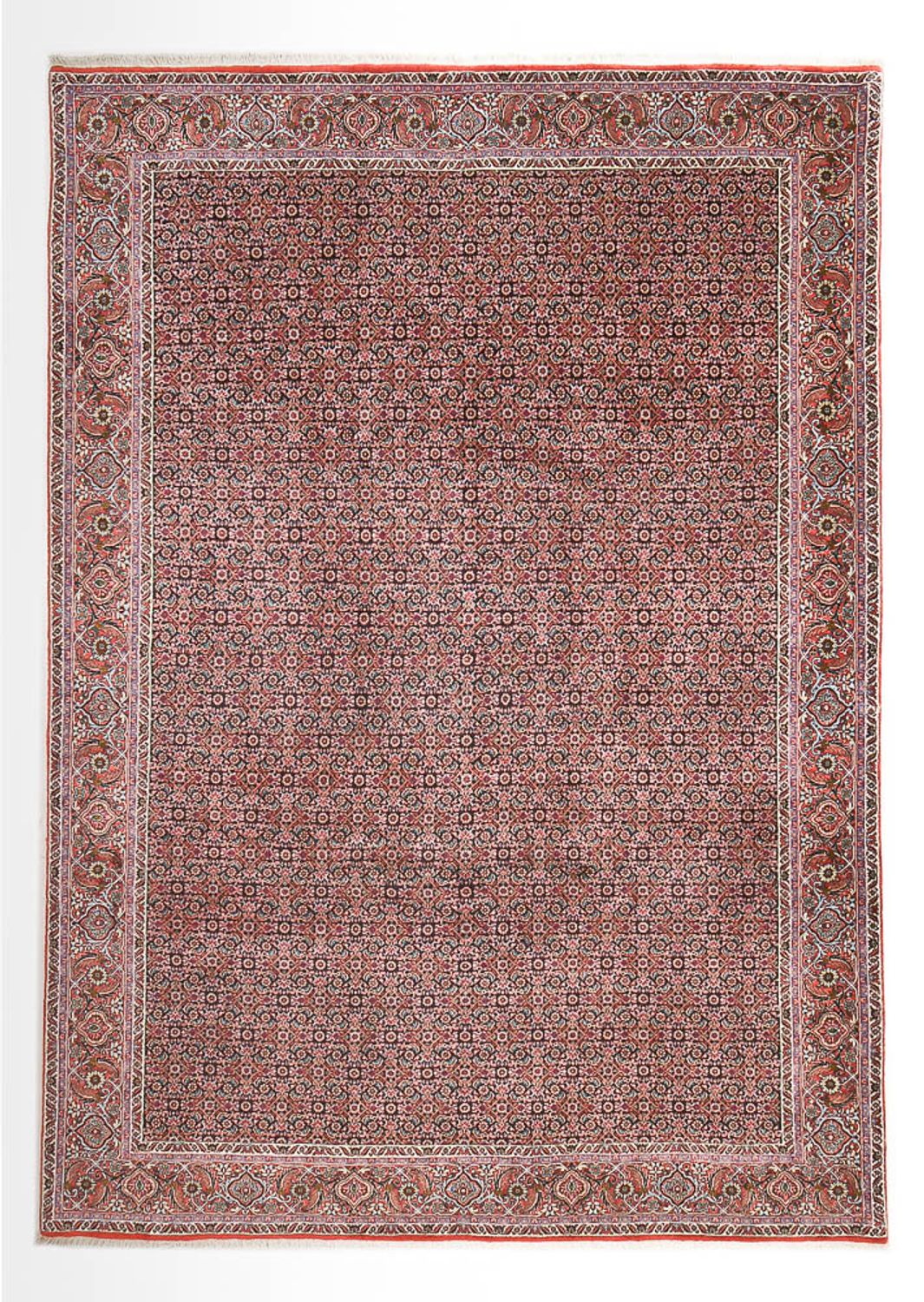 Alfombra persa - Bidjar - 362 x 258 cm - óxido