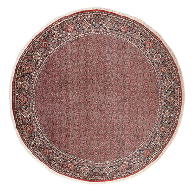 Bidjar Alfombra 300x300cm - Alfombra persa