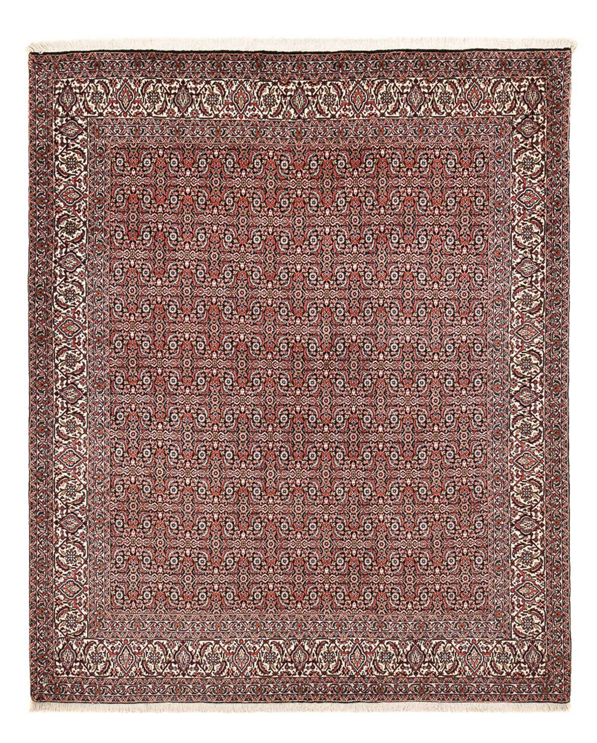 Alfombra persa - Bidjar - 250 x 204 cm - óxido