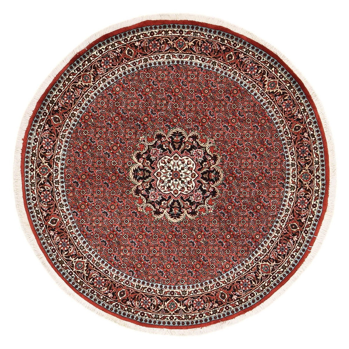 Alfombra persa - Bidjar redondo  - 150 x 150 cm - rojo oscuro