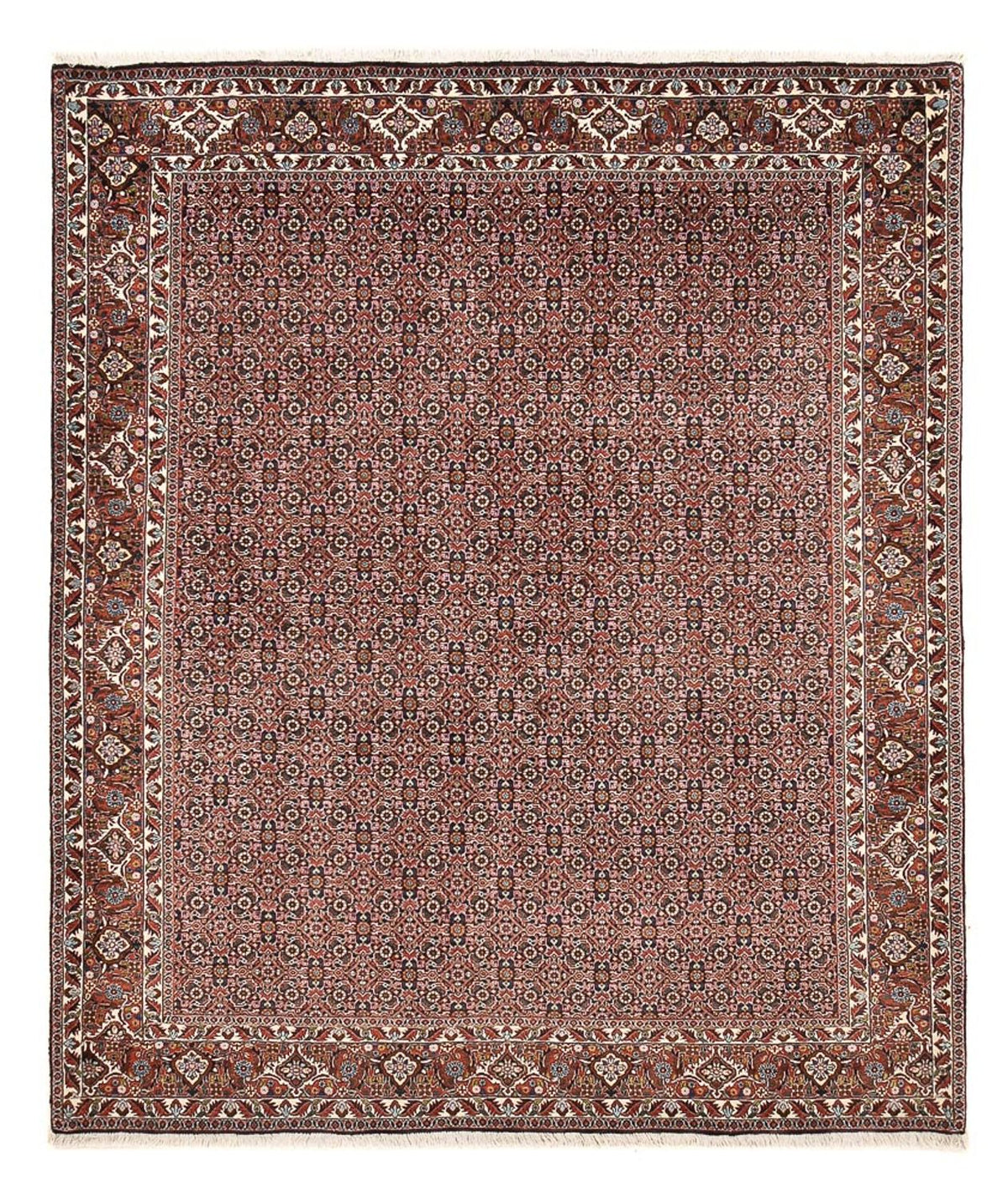 Alfombra persa - Bidjar - 239 x 202 cm - óxido