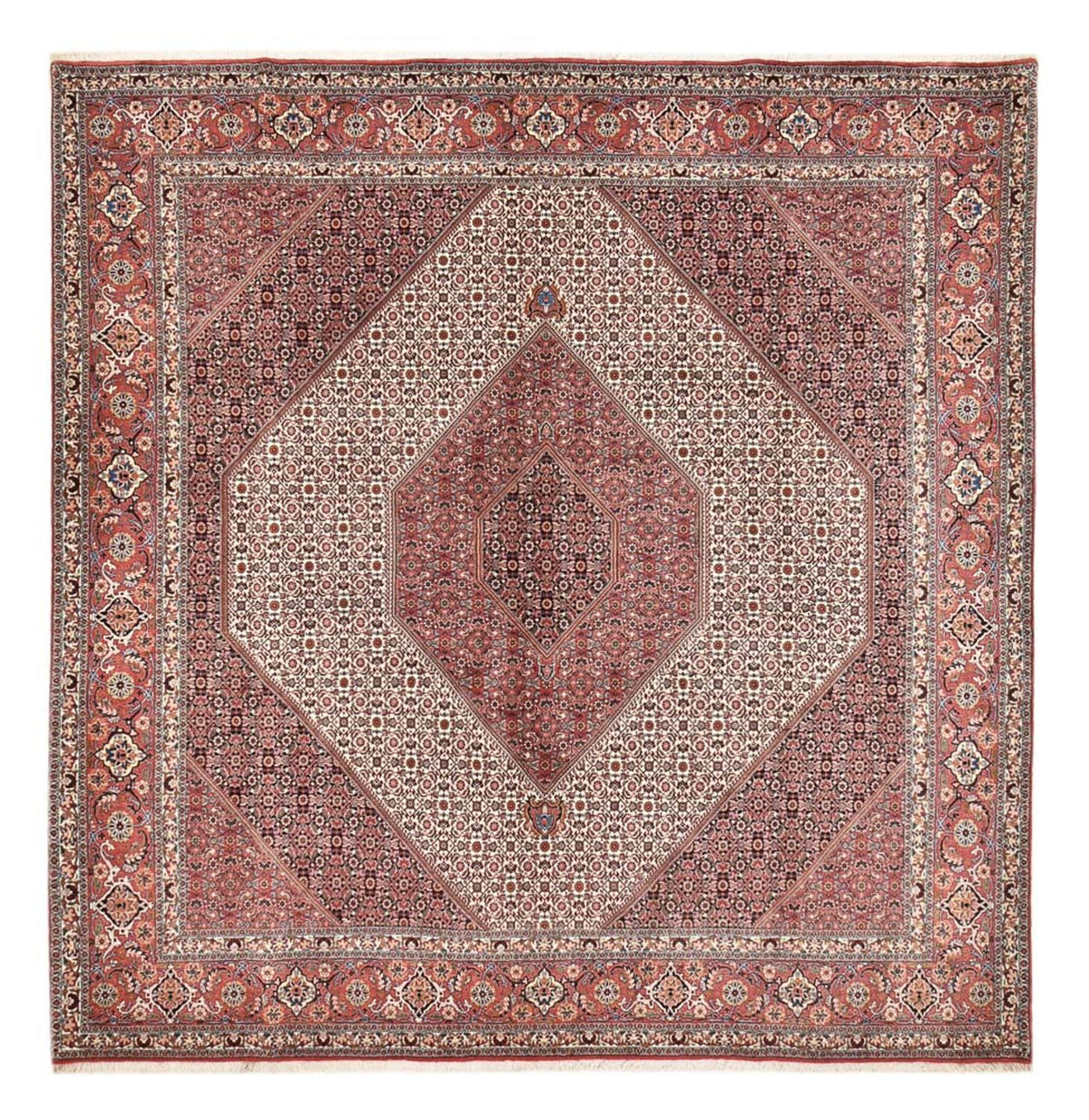 Alfombra persa - Bidjar cuadrado  - 307 x 300 cm - óxido