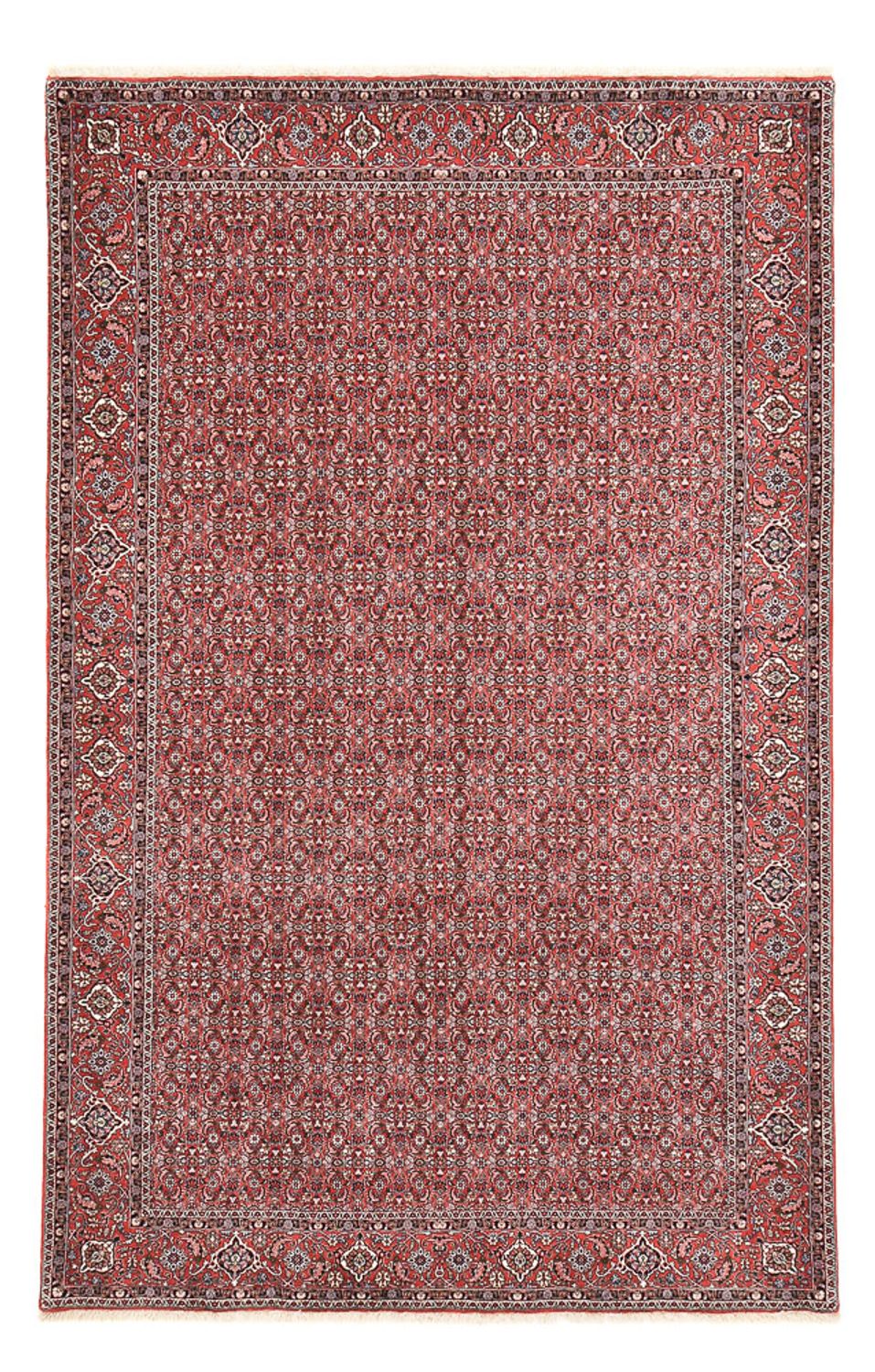 Alfombra persa - Bidjar - 347 x 221 cm - óxido