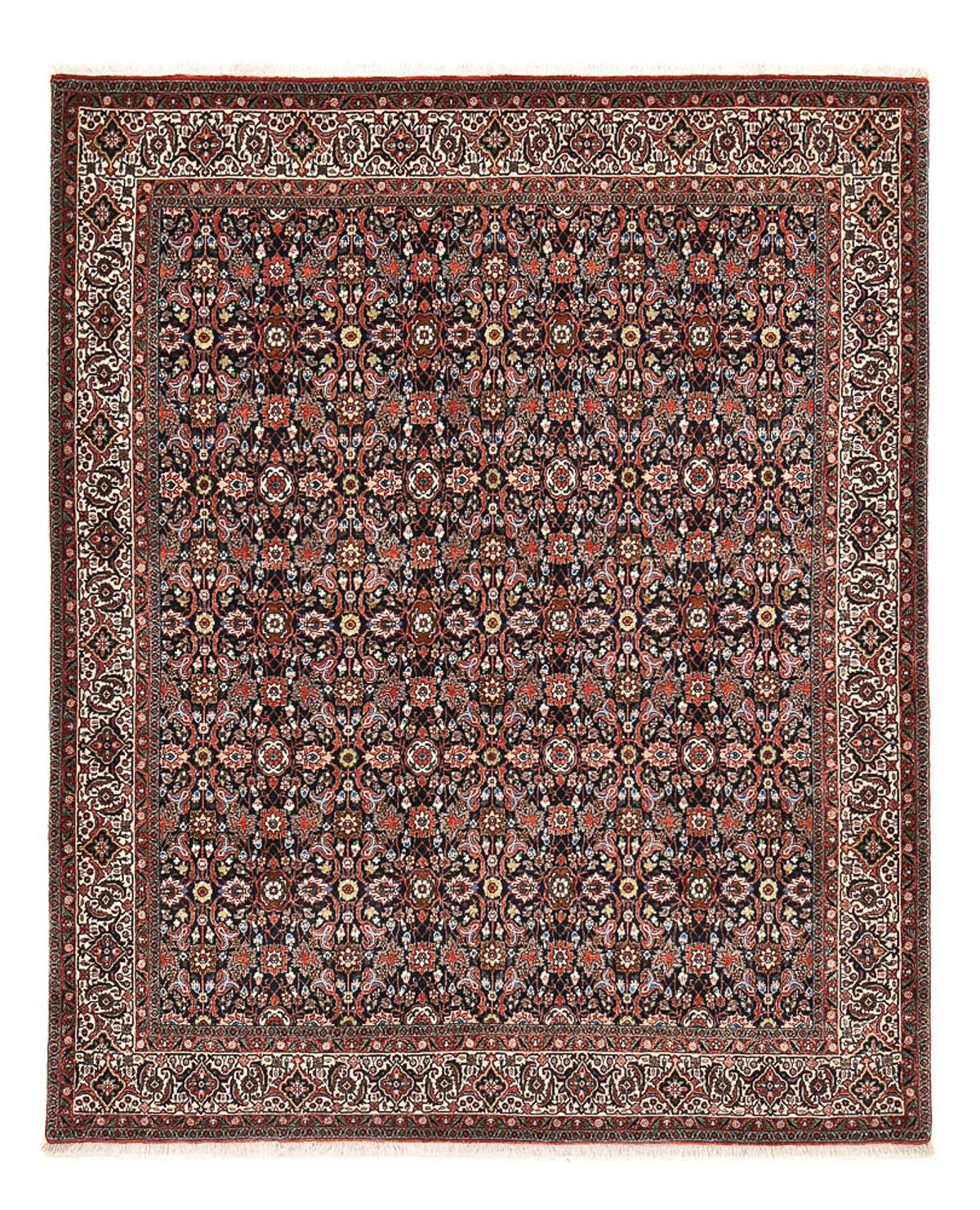 Alfombra persa - Bidjar - 250 x 203 cm - óxido