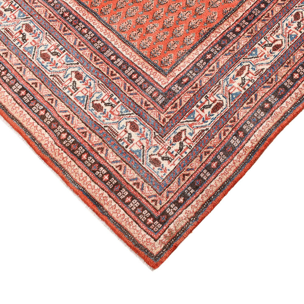 Alfombra persa - Clásica - 261 x 228 cm - naranja