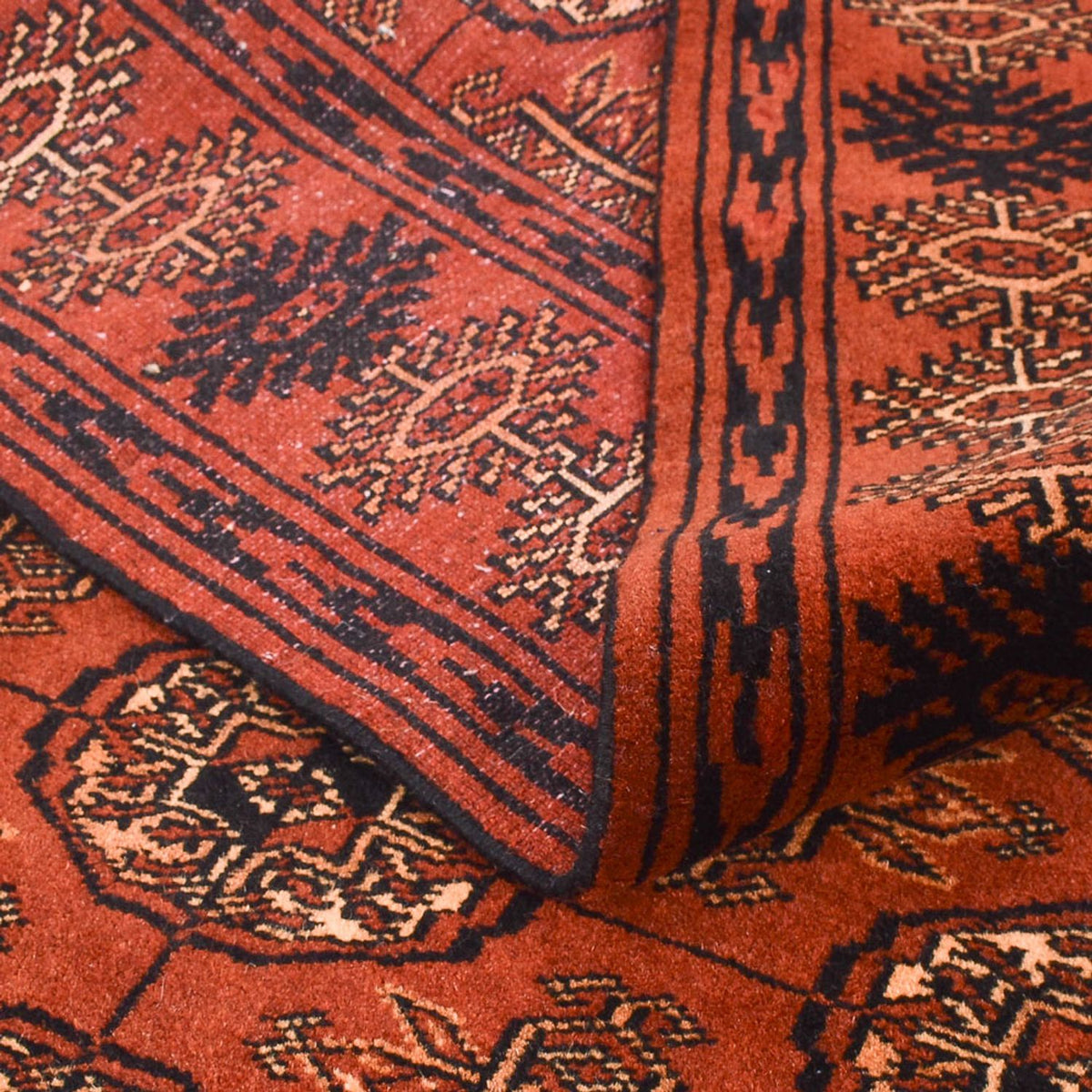 Alfombra de pasillo Alfombra Belutsch - 291 x 86 cm - rojo