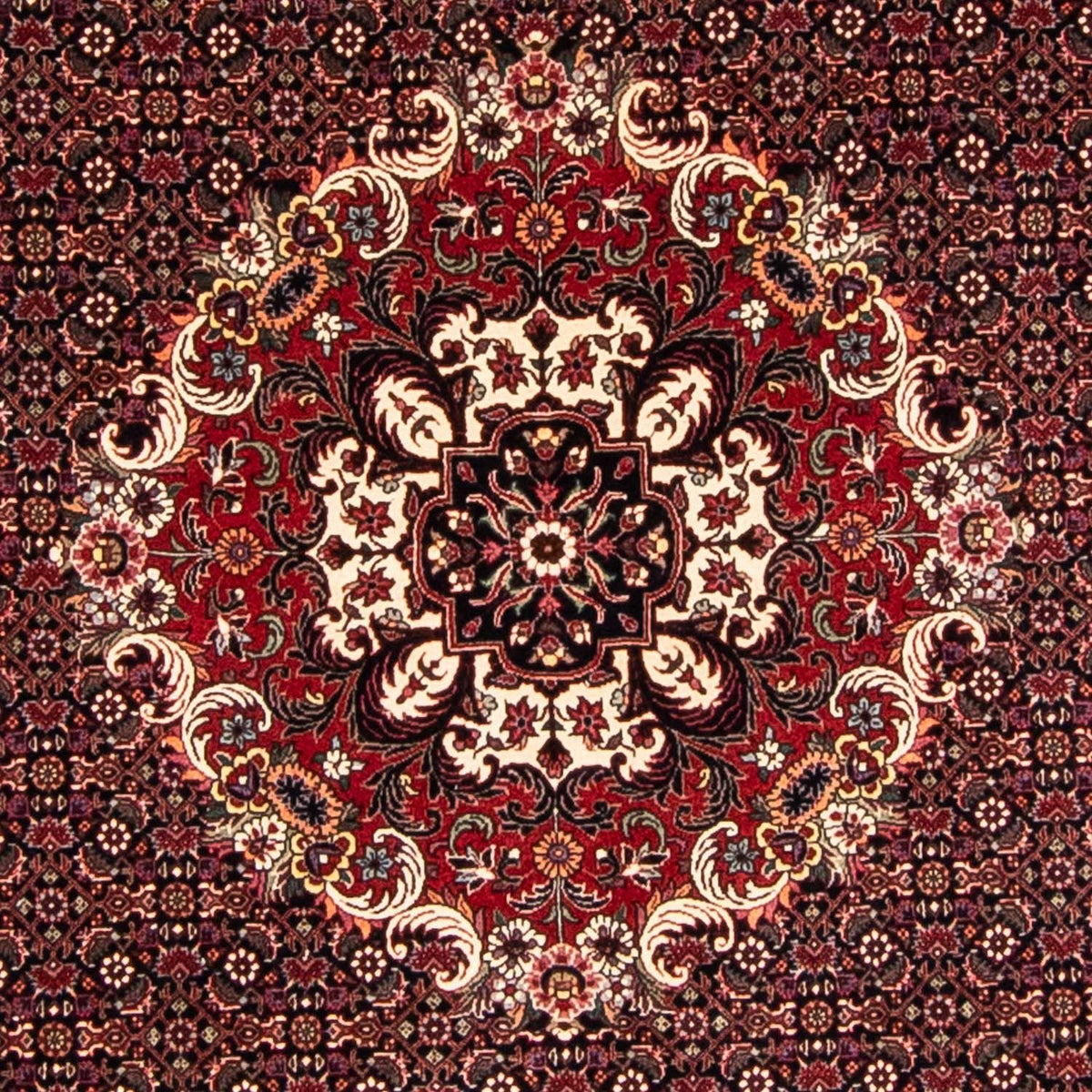 Alfombra persa - Bidjar redondo  - 250 x 250 cm - rojo oscuro