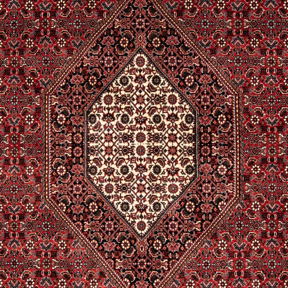 Alfombra persa - Bidjar - 240 x 166 cm - rojo oscuro