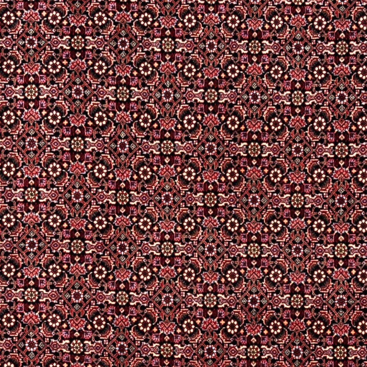 Alfombra persa - Bidjar - 346 x 250 cm - rojo oscuro