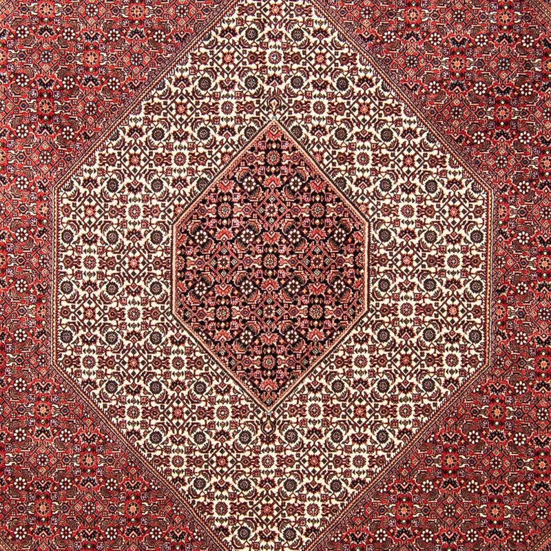 Alfombra persa - Bidjar - 309 x 256 cm - rojo oscuro
