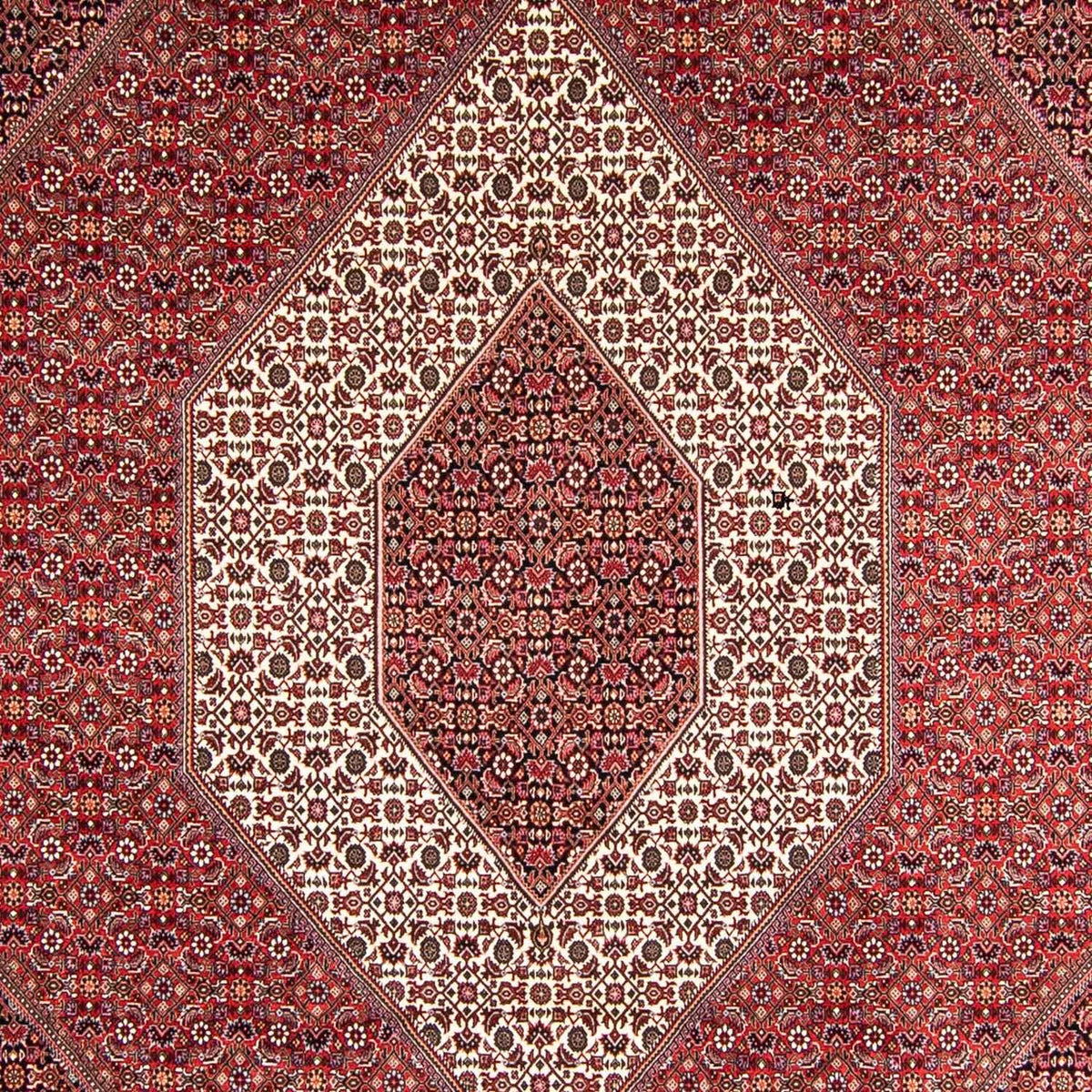 Alfombra persa - Bidjar - 357 x 250 cm - rojo claro