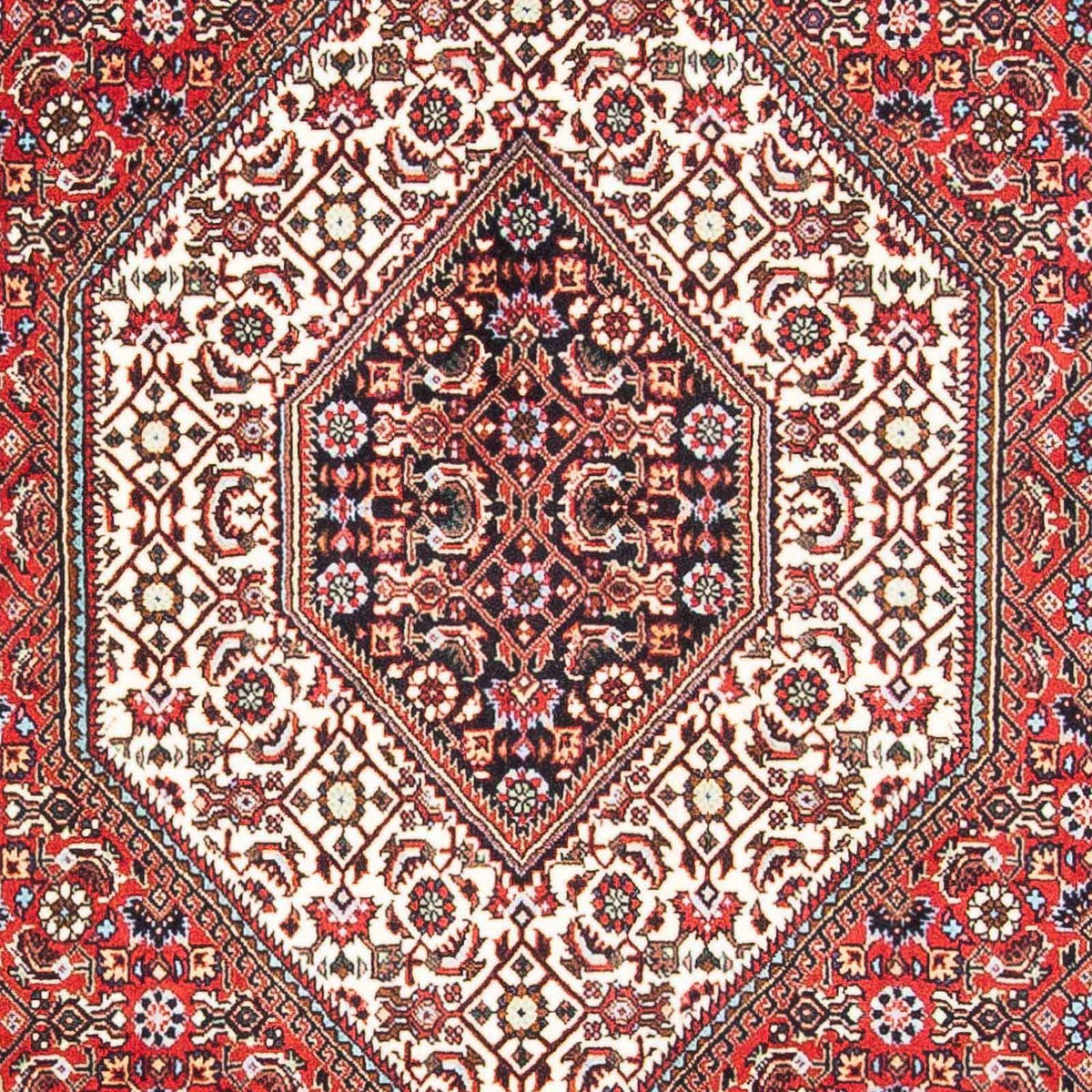 Alfombra persa - Bidjar - 172 x 112 cm - rojo