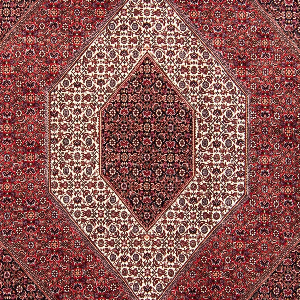 Alfombra persa - Bidjar - 304 x 250 cm - rojo oscuro