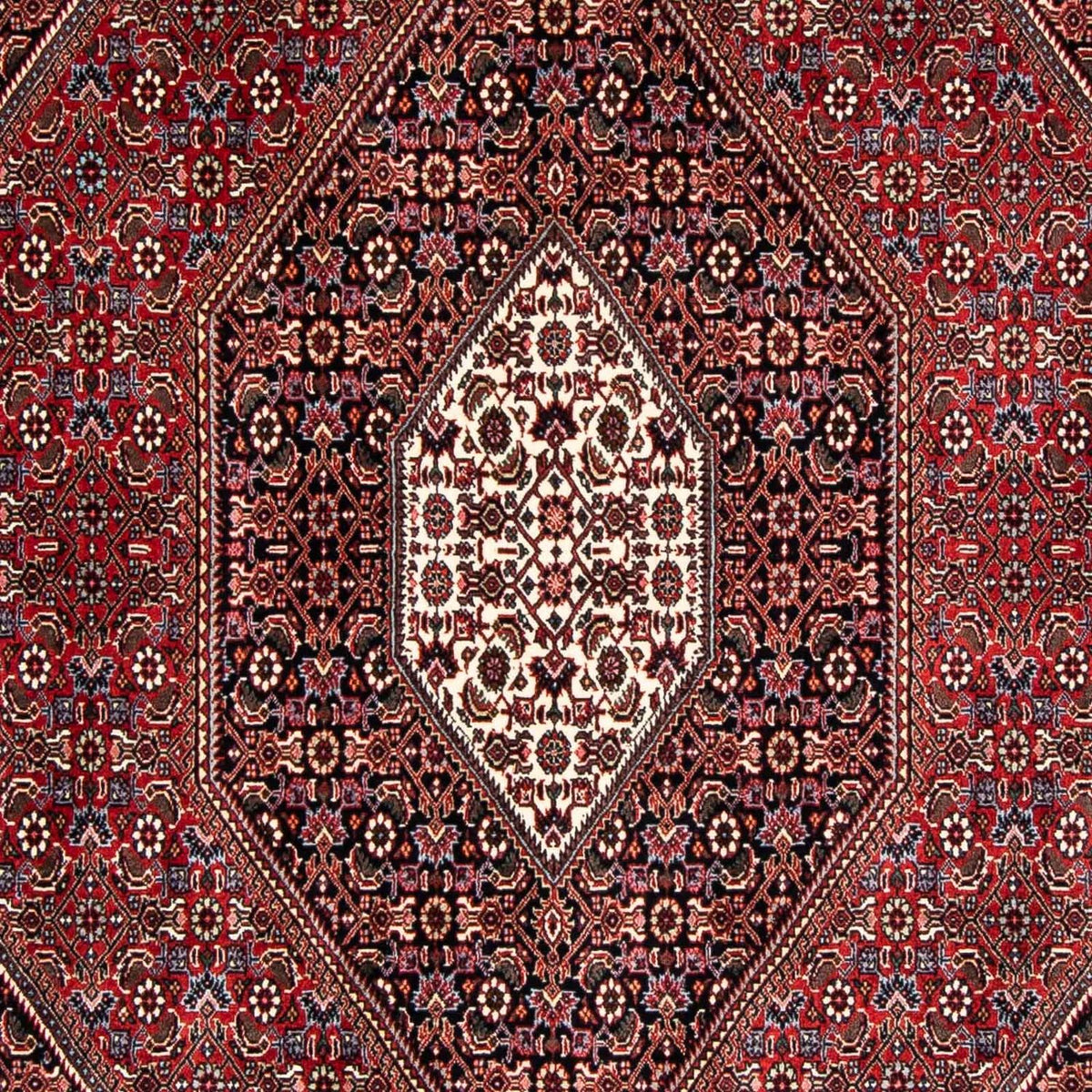 Alfombra persa - Bidjar - 246 x 167 cm - rojo oscuro