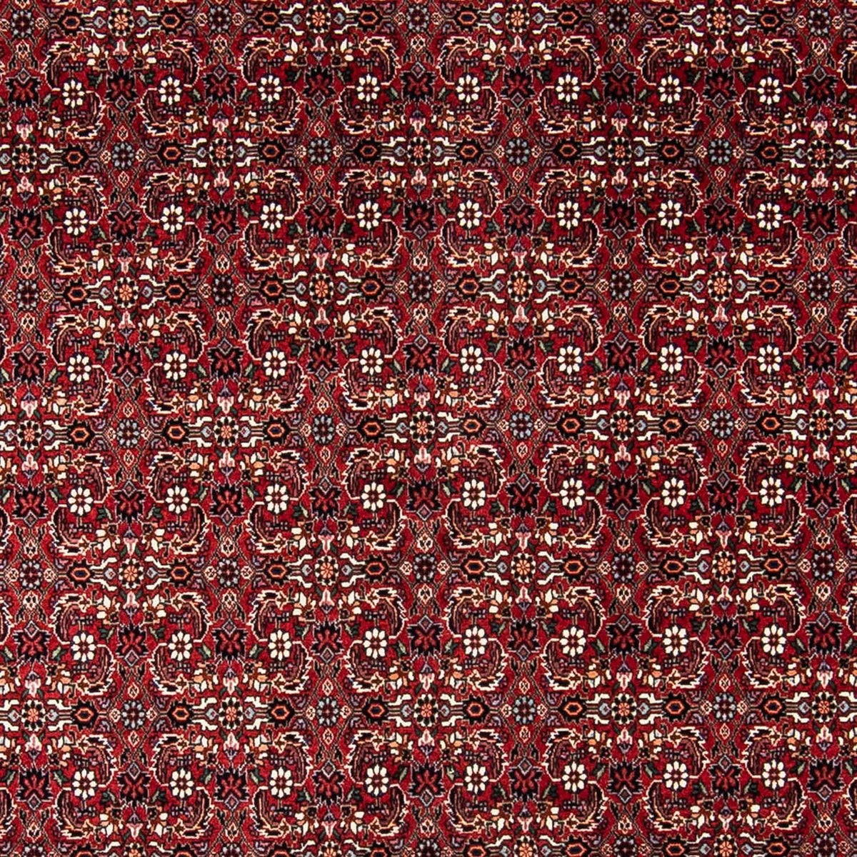 Alfombra persa - Bidjar - 240 x 168 cm - rojo oscuro
