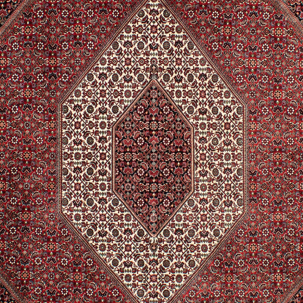 Alfombra persa - Bidjar - 298 x 200 cm - rojo oscuro