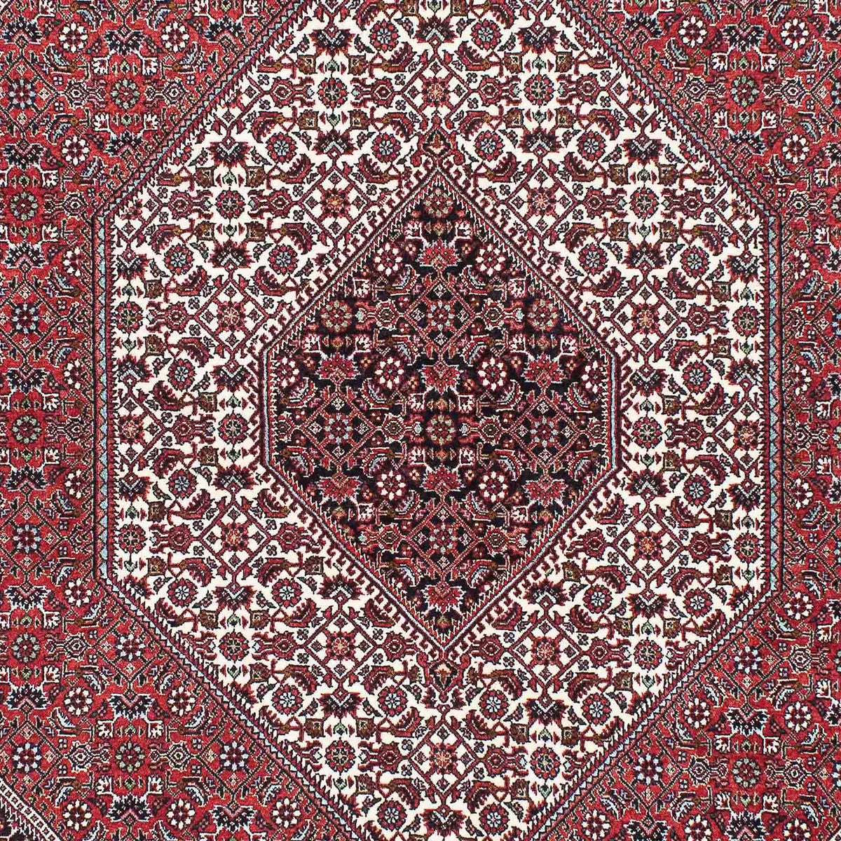 Alfombra persa - Bidjar - 220 x 142 cm - rojo