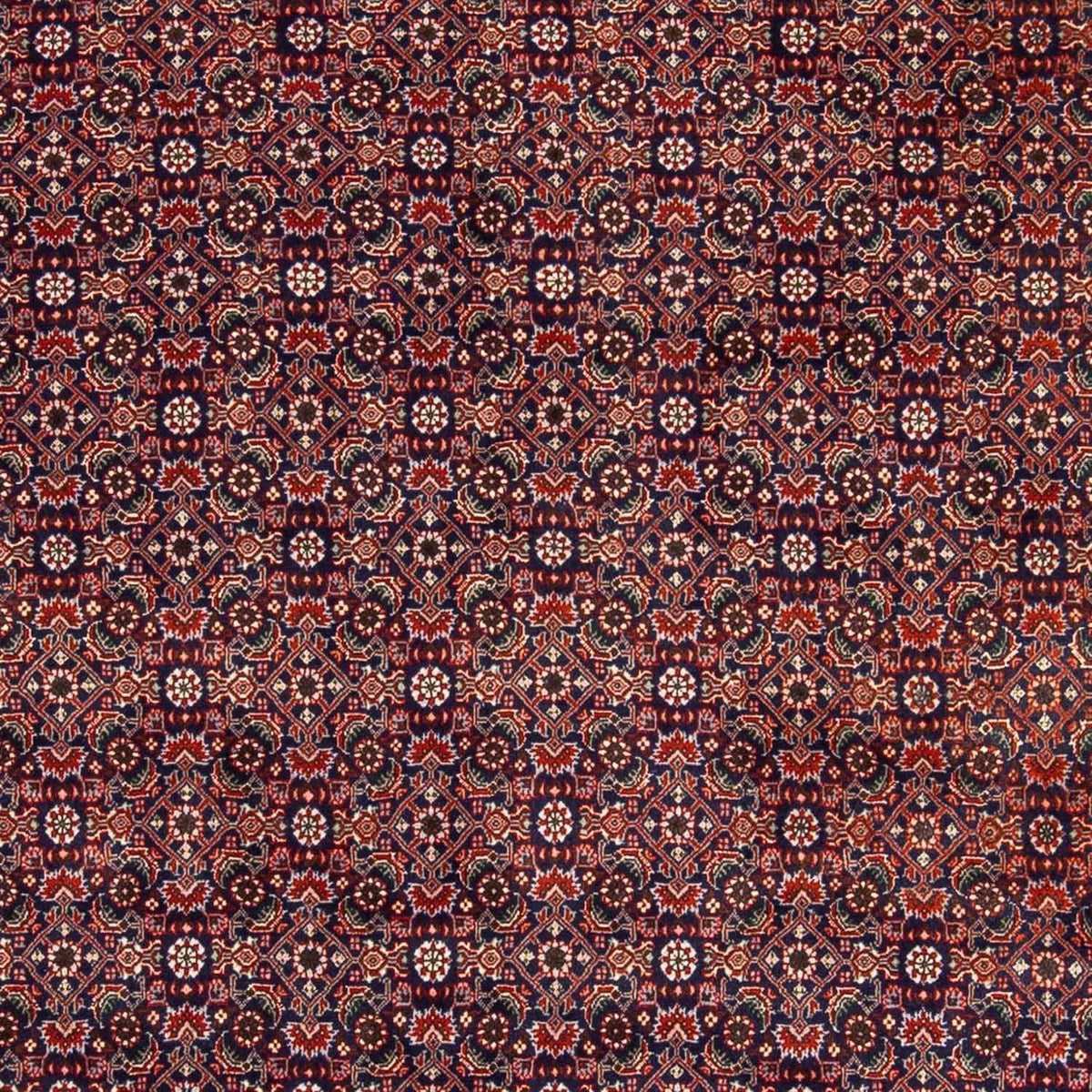 Alfombra persa - Bidjar - 237 x 168 cm - rojo claro