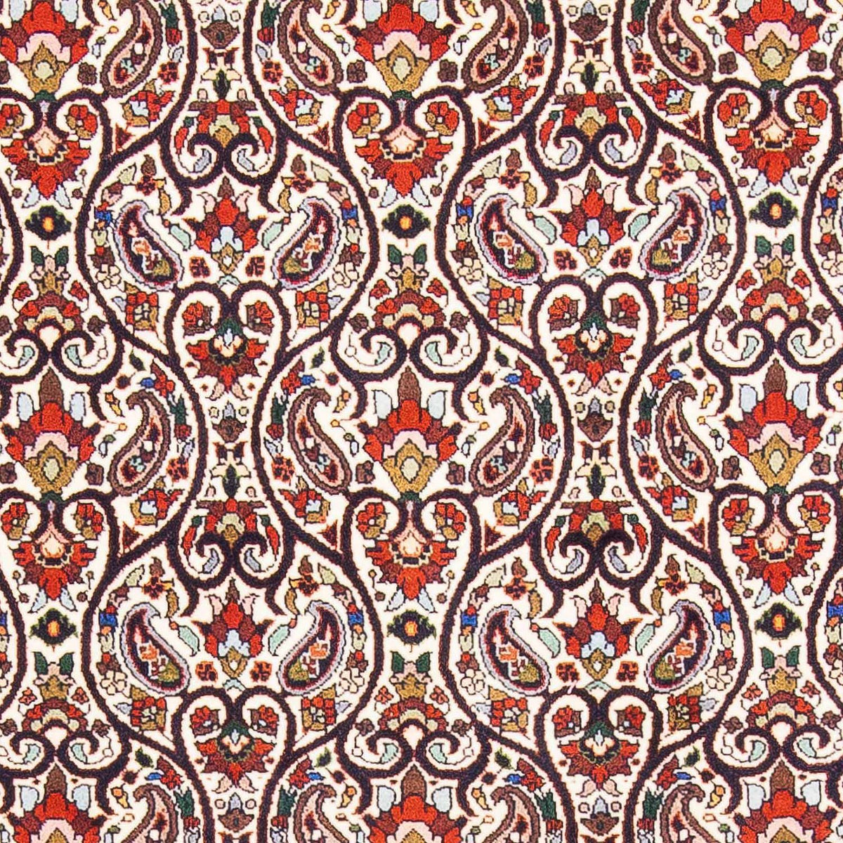 Alfombra persa - Bidjar - 175 x 108 cm - beige