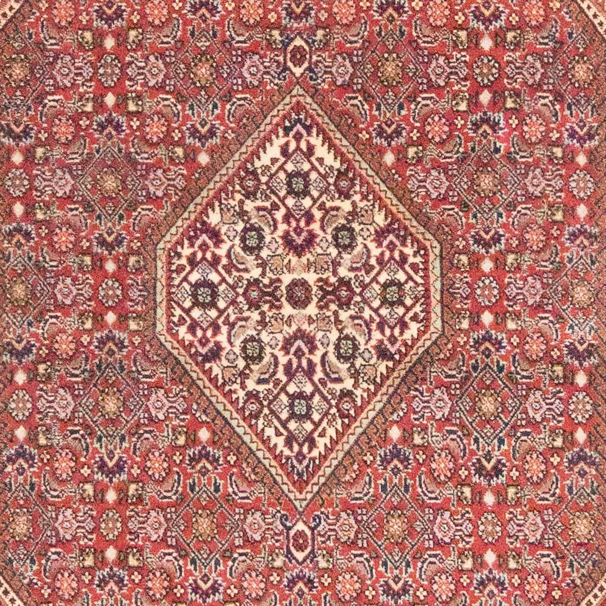 Alfombra persa - Bidjar - 184 x 108 cm - óxido