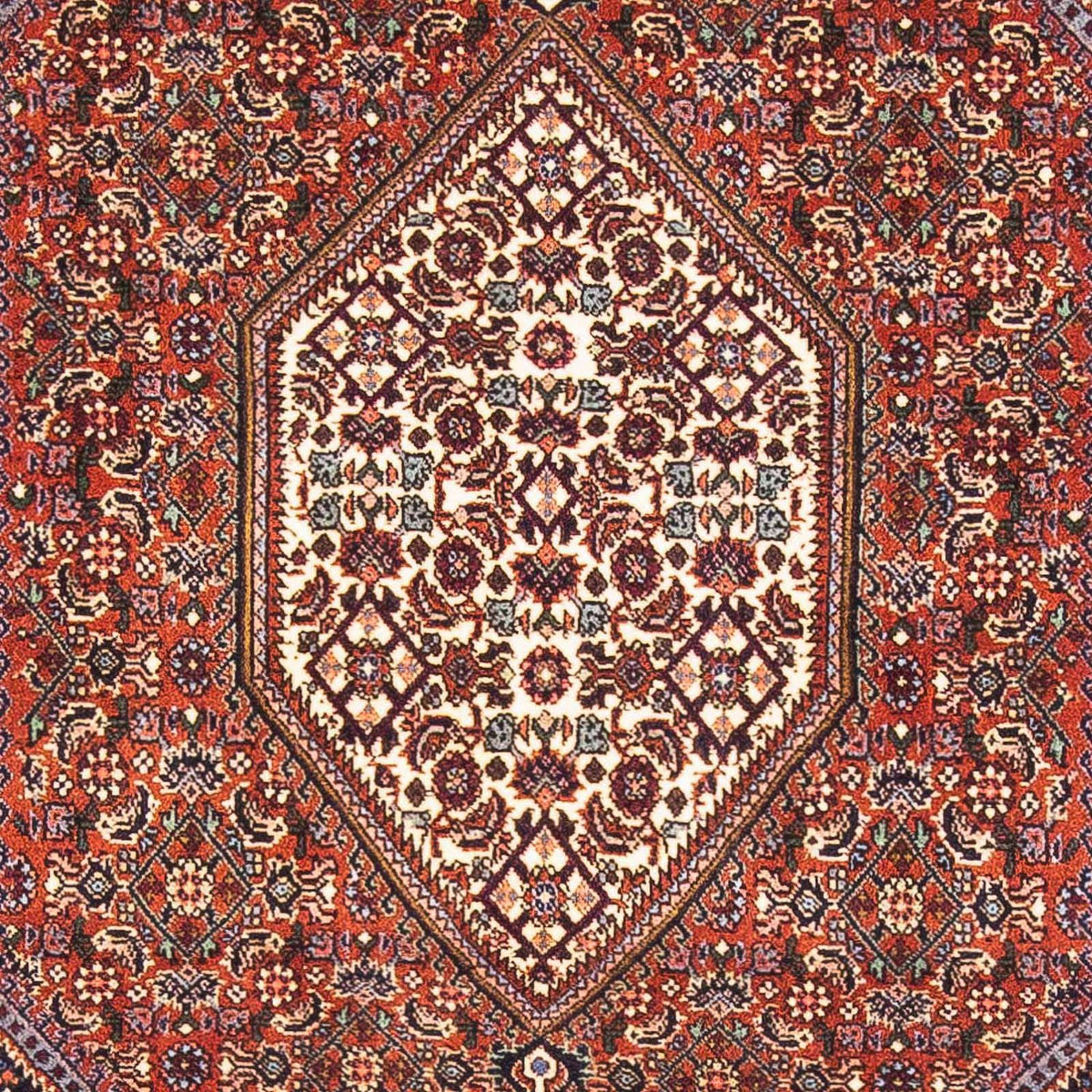 Alfombra persa - Bidjar - 152 x 105 cm - rojo