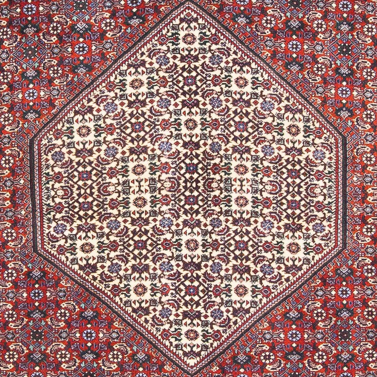 Alfombra persa - Bidjar - 170 x 110 cm - beige
