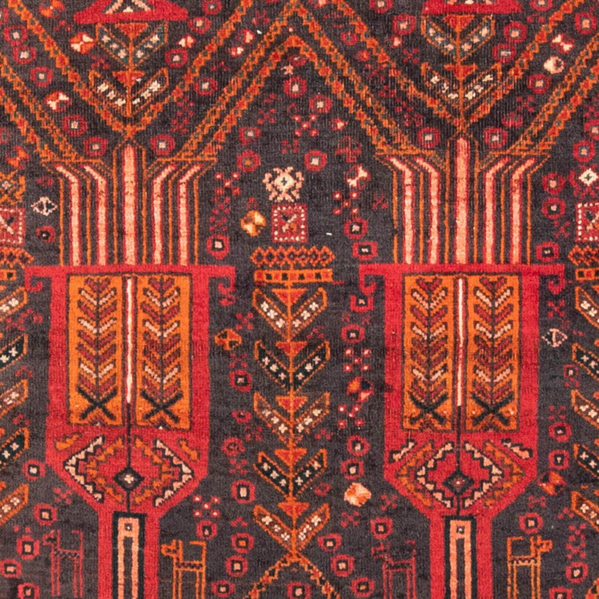 Alfombra de pasillo Alfombra Belutsch - 239 x 111 cm - óxido