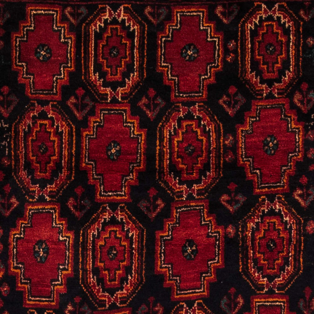 Alfombra de pasillo Alfombra Belutsch - 185 x 110 cm - rojo oscuro