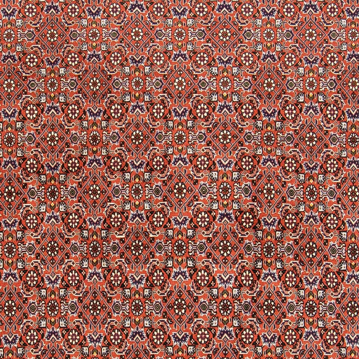 Alfombra persa - Bidjar - 230 x 168 cm - óxido