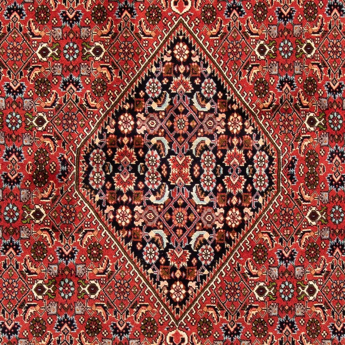 Alfombra persa - Bidjar - 247 x 169 cm - rojo oscuro