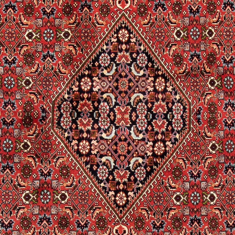 Alfombra persa - Bidjar - 247 x 169 cm - rojo oscuro