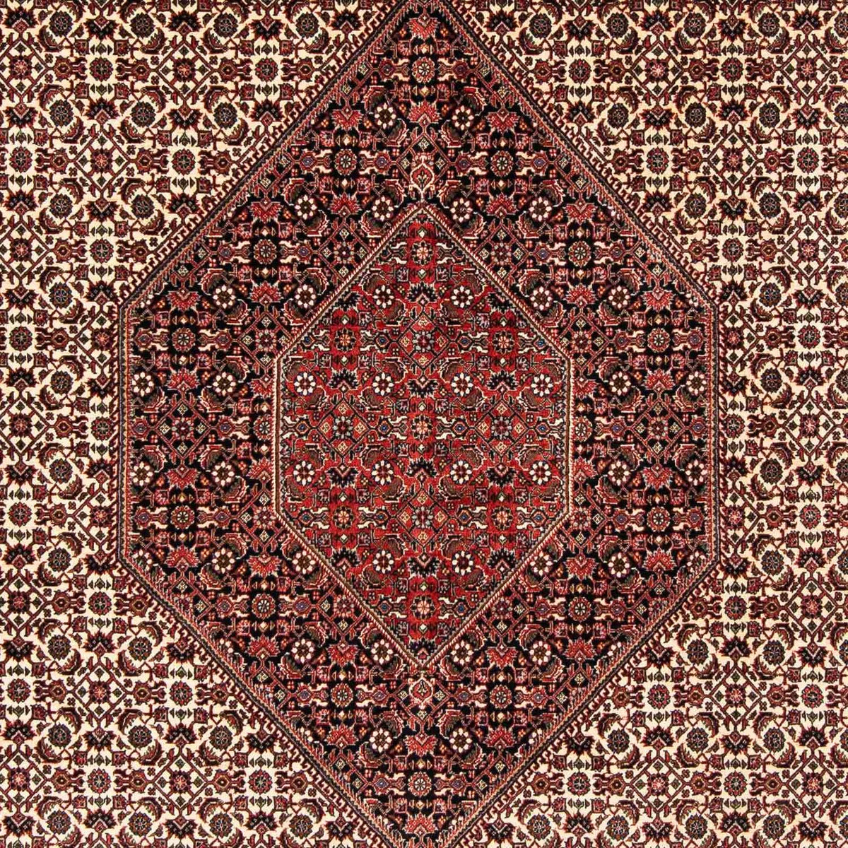Alfombra persa - Bidjar - 254 x 203 cm - rojo oscuro