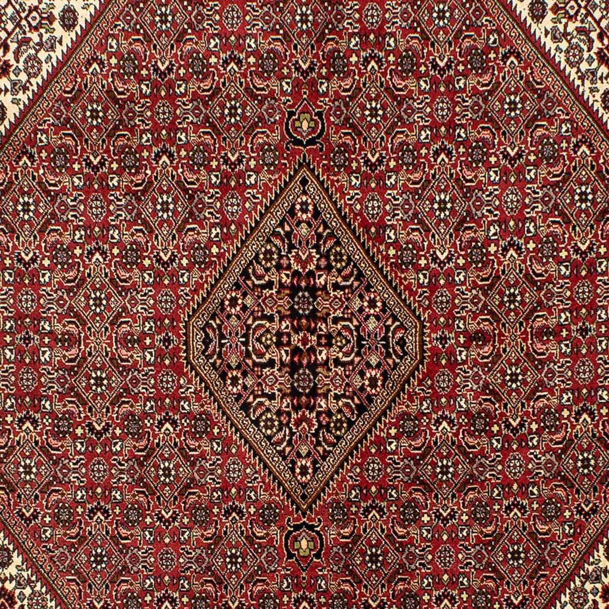 Alfombra persa - Bidjar - 242 x 171 cm - rojo oscuro