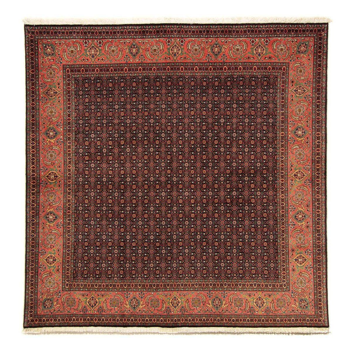 Alfombra persa - Tabriz cuadrado - 200 x 195 cm - azul oscuro